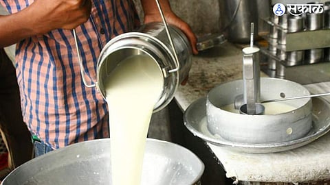 milk Producer