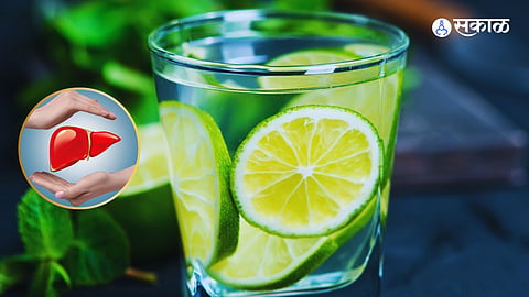 Liver Health 