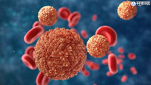 Zika virus