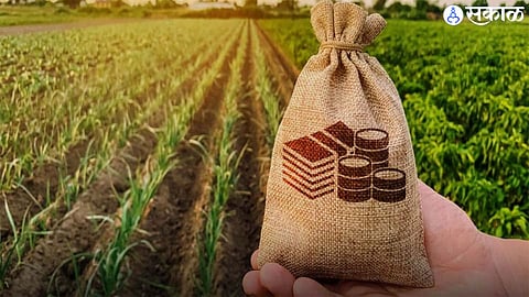 crop loan