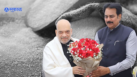  इथेनॉल निर्मितीवरची बंदी उठवा, साखर कारखाना महासंघाचे  अमित शहांना साकडे 