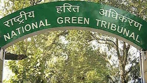 NGT