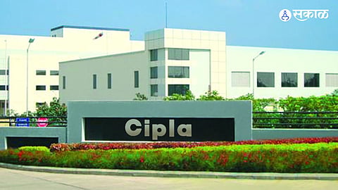  cipla verna unit goa marathi news  