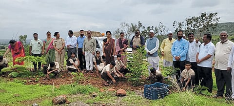 अवसरीच्या विद्यार्थ्यांनी केले सीडबॉलचे रोपण