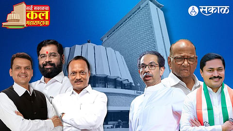 Sakal Survey 2024