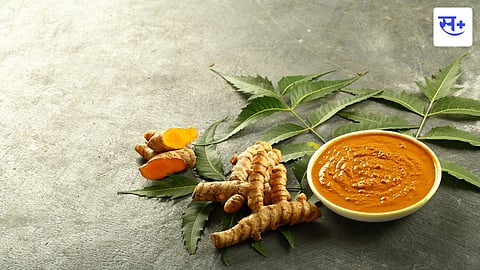 ayurveda industry