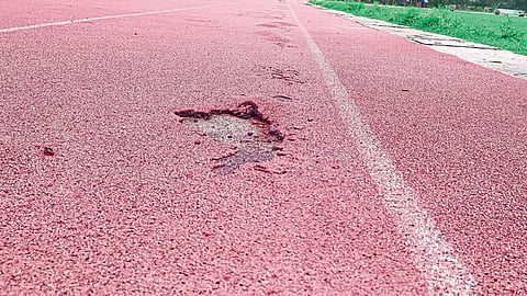 Synthetic Track