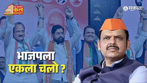 Sakal Survey 2024
