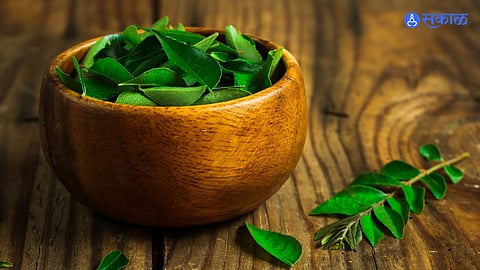 Curry Leaves