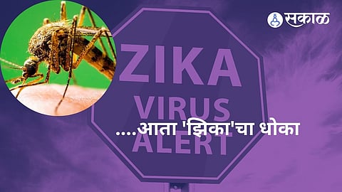 Zika Virus