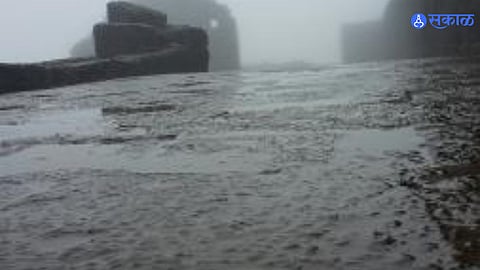 Monsoon Rain