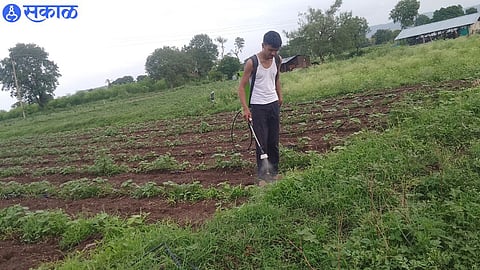 Young farmer spraying herbicide in Deurchamatha Shivara.
