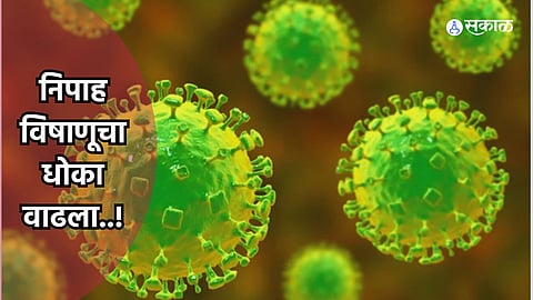 Nipah Virus