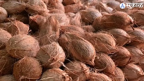 Coconut Price