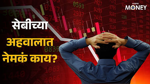 Sebi study