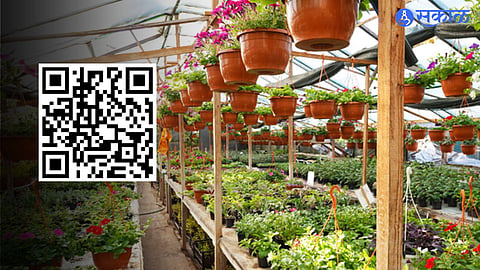 Nursery & QR Code