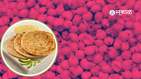 Jawar Paratha Recipe
