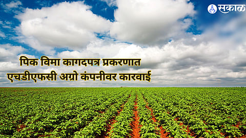 Crop Insurance 