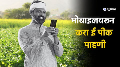 E-Peek Pahani news in marathi