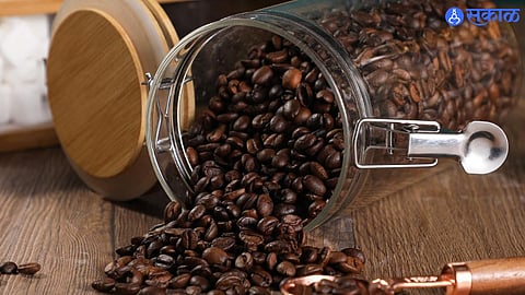 How To Store Coffee Powder in monsoon season 