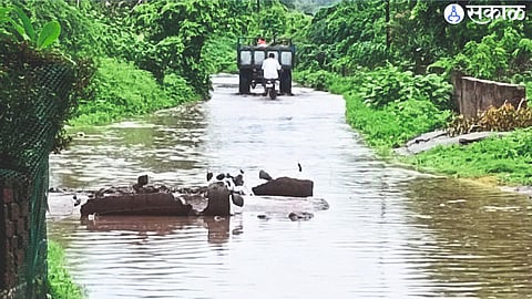 Due to lack of drains on both sides of the road, there is stagnant water.