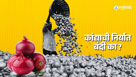 reason behind onion export