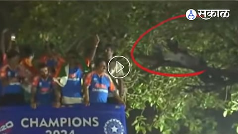 T20 World Cup 