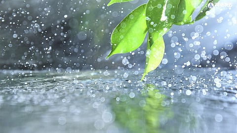 lowest rainfall in june for second time in ten years agricultural farmer crop 