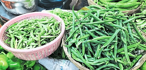 भाजीपाल्याचे दर २० टक्‍क्यांनी घसरले