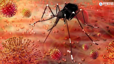 Zika virus