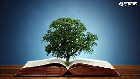 Environmental studies