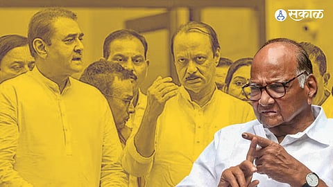 NCP Sharad Pawar group may give opportunity to 20 young candidates in assembly elections political News  