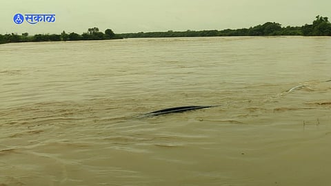 मुळा-मुठा आणि भीमा नदीवरील बंधारे पाण्याखाली,  गावांना सतर्कतेचा इशारा          