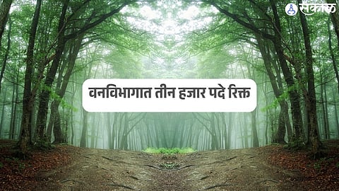 वनविभागात तीन हजार पदे रिक्त