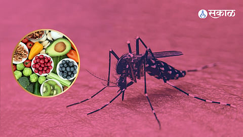 Dengue Fever