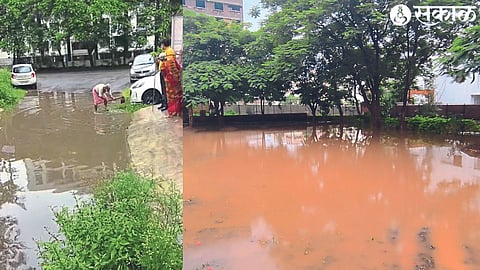 Collected ponds in Acharya Udyan in Survey No. 911 of Jyeshtha Nagrik & Vasannagar while removing drainage ingress in front of Vista Society.