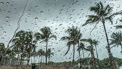 nagpur rain forecast yellow alert in vidarbha for four days imd weather update