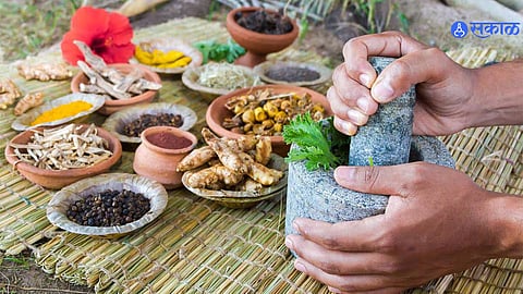 Ayurvedic Medicine 