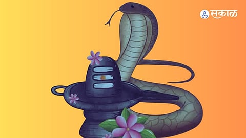 Nag Panchami 2024 