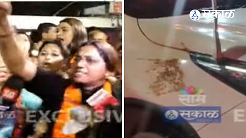ShivSena MNS 