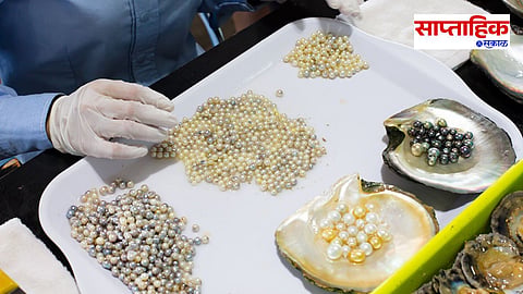 Pearl Farming 
