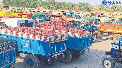 Arrival of summer onion in market committee on Monday.