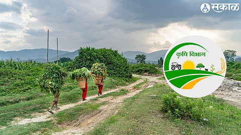 Agriculture secretary transfer three seniors in a row shocks administration pune 