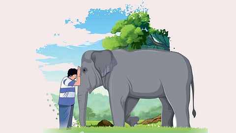 Elephant