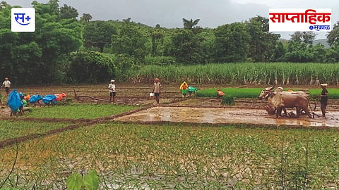 kolhapur Farming 