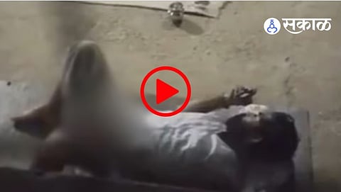 Viral Video