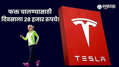 Tesla Job Pays 28,000 Rupees a Day for Walking 7 Hours to Train Robots