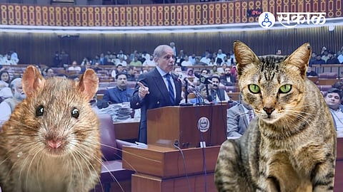 Pakistan Parliament