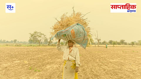 maharashtra agriculture policy 