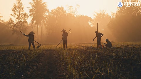 Waiting for Relief: 30,742 Farmers in Mangalwedha Denied Kharif 2025 Insurance